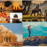 Best Golden Triangle Tour Package from USA