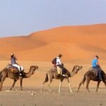 Small Group Tours India from USA