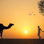 India Heritage Tours from USA