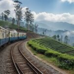 best coorg tour package from usa