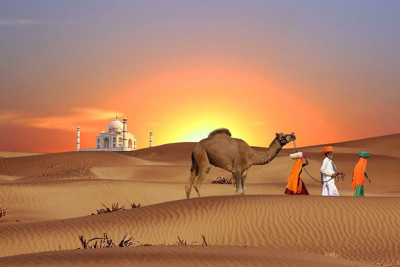 Luxury Rajasthan Tour Packages from USA for Couples